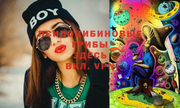 эйфоретик Дмитриев