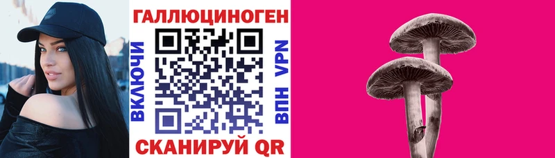 блэк спрут зеркало  Вичуга  Псилоцибиновые грибы Psilocybe 