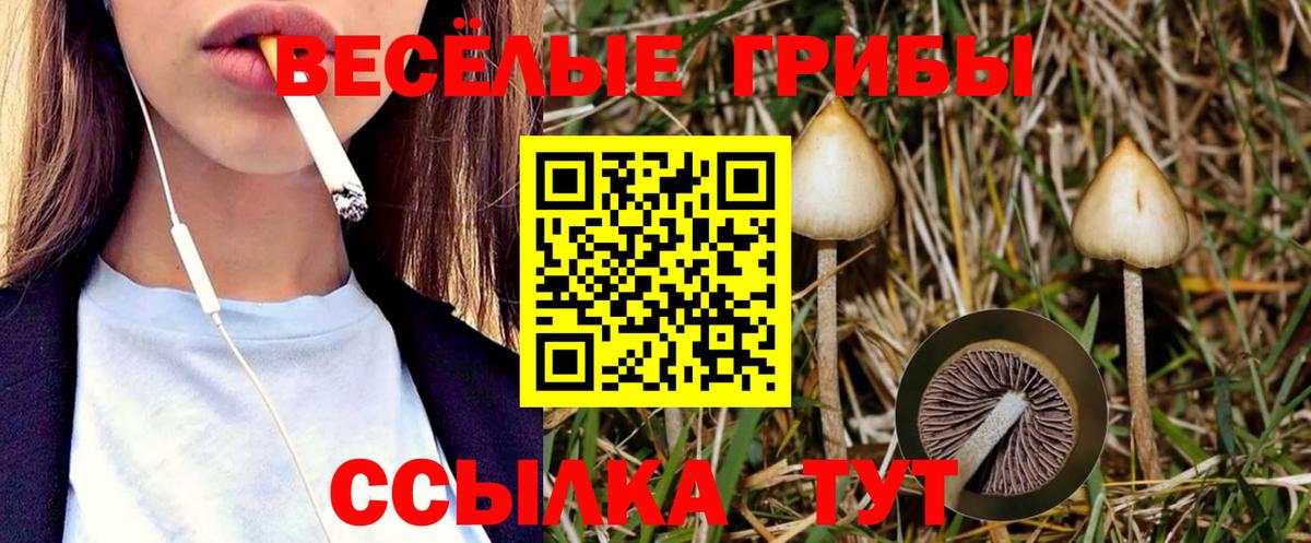 Вичуга  Псилоцибиновые грибы GOLDEN TEACHER  Галлюциногенные грибы Magic Shrooms  Вход с VPN 