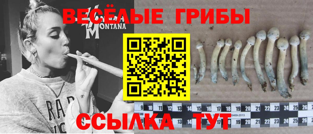 Галлюциногенные грибы Magic Shrooms Вичуга